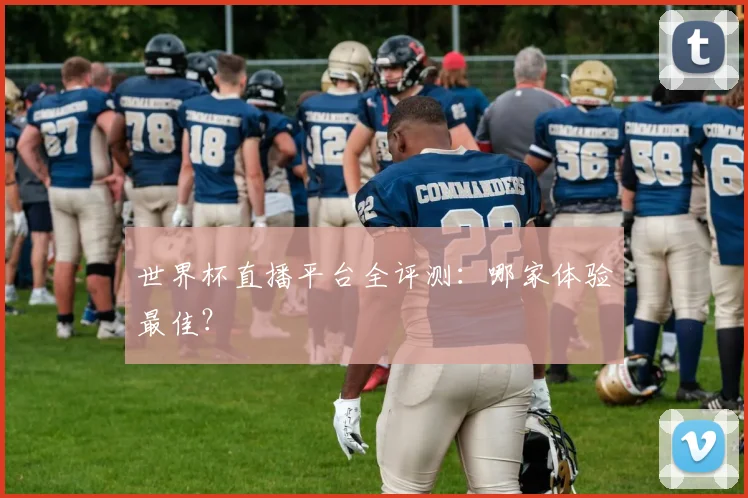世界杯直播平台全评测：哪家体验最佳？