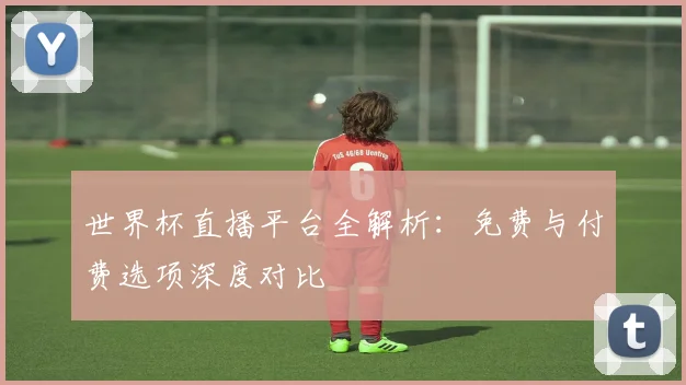 世界杯直播平台全解析：免费与付费选项深度对比