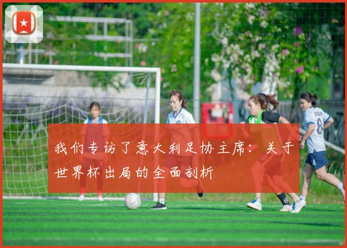 我们专访了意大利足协主席：关于世界杯出局的全面剖析
