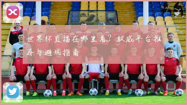 世界杯直播在哪里看？权威平台推荐与避坑指南