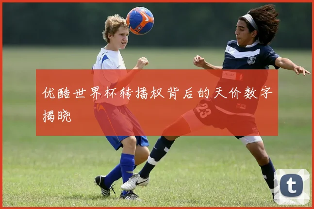 优酷世界杯转播权背后的天价数字揭晓