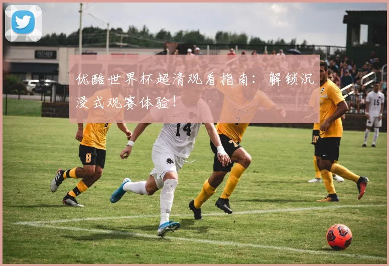 优酷世界杯超清观看指南：解锁沉浸式观赛体验！