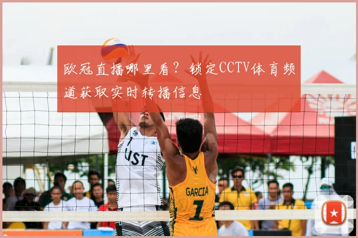 欧冠直播哪里看？锁定CCTV体育频道获取实时转播信息