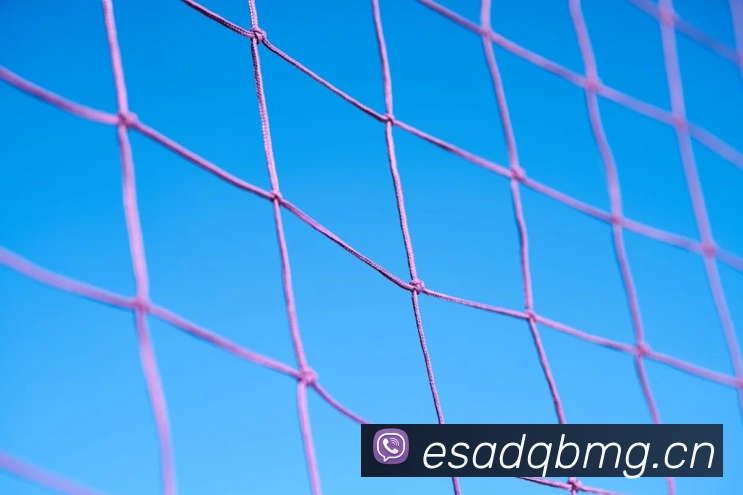 星空官方登录入口APP 高清赛事图